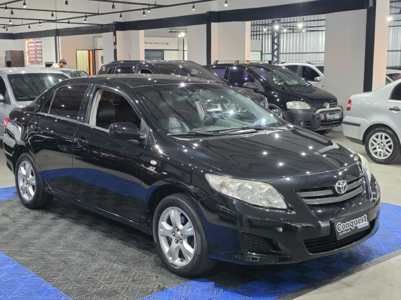 XLI | COROLLA